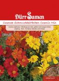 Cosmos sulphureus "Cosmic Mix"- Schmuckkrbchen