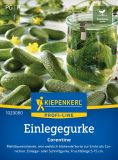 Einlegegurke "Corentine F1" - Cucumus sativus