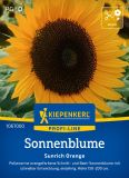 Helianthus annuus "Sunrich Orange F1" - Sonnenblume