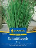 Schnittlauch "Staro" - Allium schoenoprasum