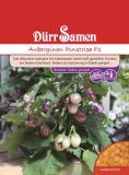 Mini-Aubergine "Pinstripe F1" - Solanum melongena