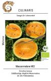 Wassermelone "M12" - Citrullus lanatus (Bio-Samen)
