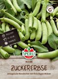 Zuckererbse "Nairobi" - Pisum sativum