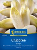 Chicoree "Bingo F1" - Cichorium intybus var. foliosum