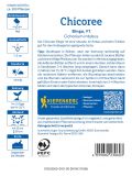 Chicoree 