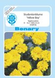 Tagetes patula "Yellow Boy" - Studentenblume