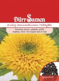 Helianthus annuus "Teddybr" - Gefllte Sonnenblume
