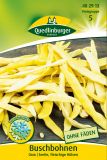 Wachsbohne "Odir" - Phaseolus vulgaris