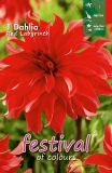 Riesenblumige Dahlie "Red Labyrinth"