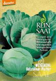 Wei�kohl "Holsteiner Platter" - Brassica oleracea convar. capitata var. alba