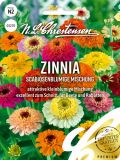 Zinnia elegans "Scabiosenblumige Mischung" - Zinnie