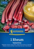 Rhabarber "Valentine" - Rheum rhabarbarum