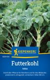 Futterkohl / Markstammkohl "Inka" - Brassica oleracea convar. acephala