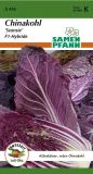 Chinakohl "Scansie F1" - Brassica rapa ssp. pekinensis