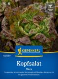 Kopfsalat "Roxy" - Lactuca sativa var. capitata