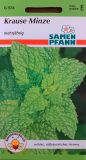 Krause Minze - Mentha spicata