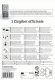 Ingwer - Zingiber officinalis