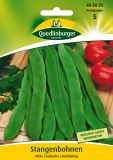 Stangenbohne "Hilda" - Phaseolus vulgaris var. vulgaris
