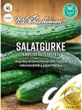 Salatgurke "Burpless Tasty Green F1" - Cucumis sativus