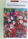Lathyrus odoratus "Royal Mischung" - Riesenblumige Edelwicke