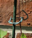 Gartendraht, gummiert / Softdraht