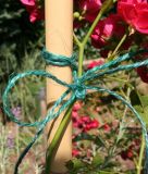 Jute - Gartenschnur, gr�n