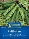 Puffbohne - Dicke Bohne "Hangdown Grnkernig" - Vicia faba