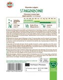 Stangenbohne 
