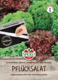 Pflcksalat-Sortiment (Saatband 5 m) - Lactuca sativa