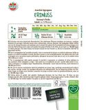 Erdnuss 