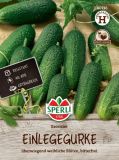 Einlegegurke "Excelsior F1" - Cucumis sativus