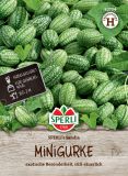 Mexikanische Minigurke "SPERLI