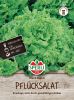 Pflcksalat "Grand Rapids" - Lactuca sativa