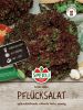 Pflücksalat "Lollo rossa" - Lactuca sativa