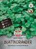 Blattkoriander 
