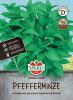 Pfefferminze 