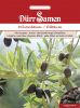 Olea europaea - Olivenbaum