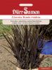Oryza sativa "Black Madras" - Zier-Reis