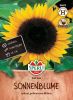 Helianthus annuus "Full Sun F1" - Sonnenblume