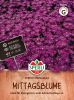 Delosperma floribunda "SPERLI