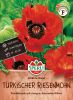 Papaver orientale "SPERLI