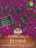Petunia x hybrida "Purpur Kaskade F1" - Hngepetunie