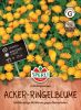 Calendula arvensis "Fr�hlingssonne" - Acker-Ringelblume