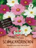 Cosmos bipinnatus "Mix Dream" - Schmuckkrbchen