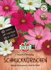 Cosmos bipinnatus "Sensations Mischung" - Schmuckkrbchen