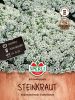Lobularia maritima "SPERLI