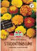 Tagetes patula 