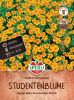 Tagetes tenuifolia 