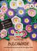 Convolvulus tricolor "Triple Mischung" - Buschwinde