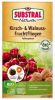 Substral Naturen Kirsch- & Walnussfruchtfliegen-Falle